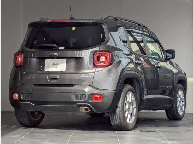 Jeep Renegade 5