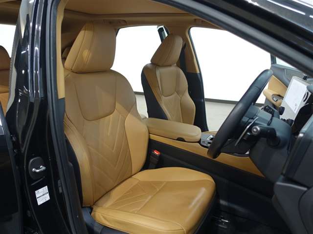 Lexus NX 12