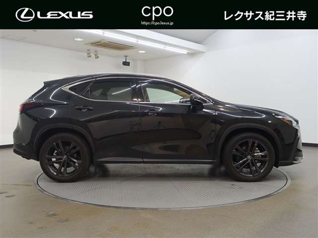 Lexus NX 4