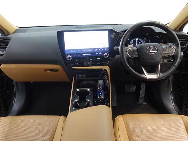 Lexus NX 6