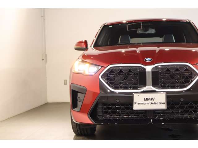 BMW X2 11