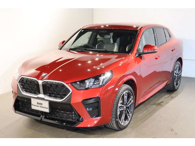 BMW X2 9