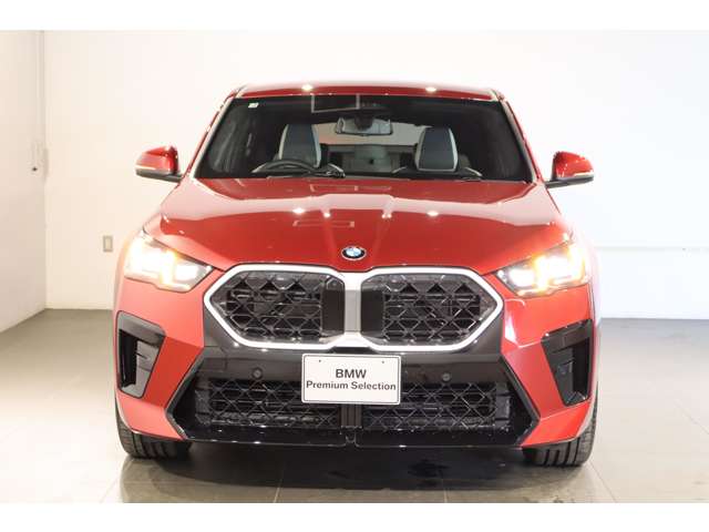 BMW X2 10