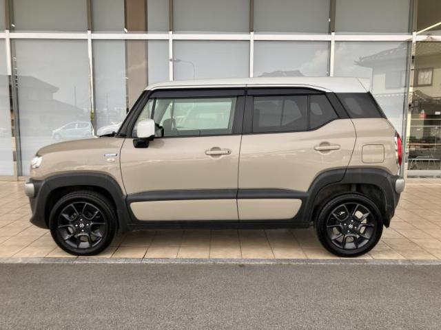 Suzuki XBEE 5