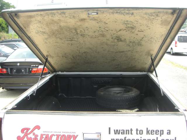 Chevrolet C1500 9