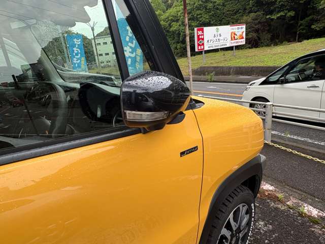 Suzuki Hustler 12