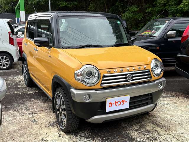 Suzuki Hustler 9