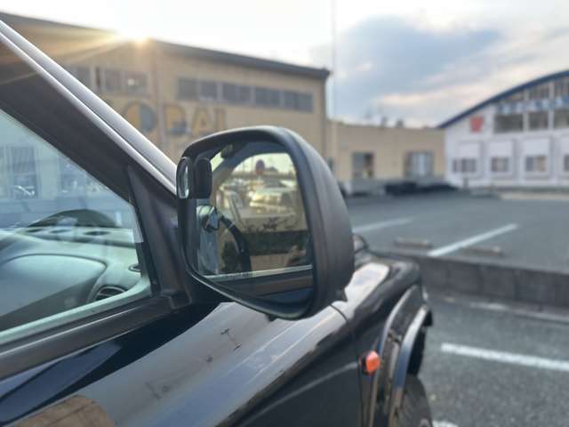 Dodge Dakota 11