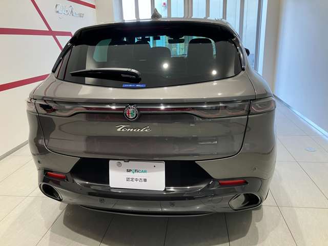 Alfa Romeo トナーレ 7