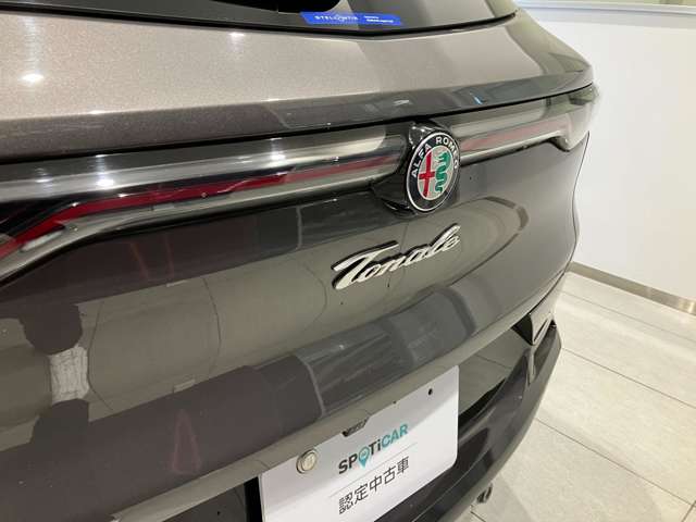 Alfa Romeo トナーレ 9