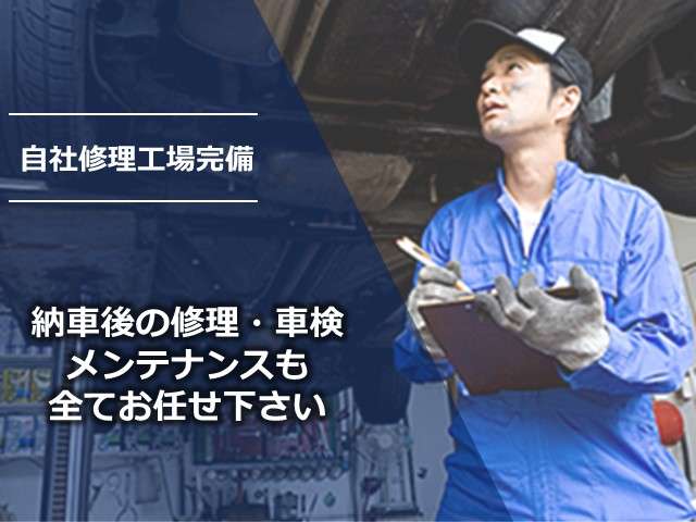 Toyota Pixis Truck 3