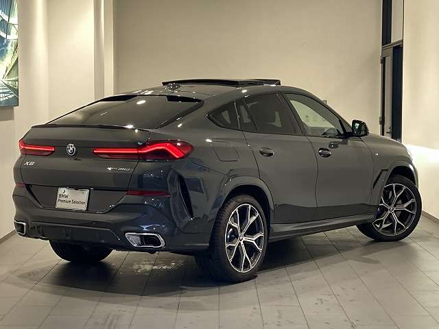 BMW X6 5