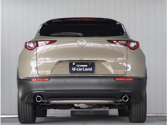 Mazda CX-30 12