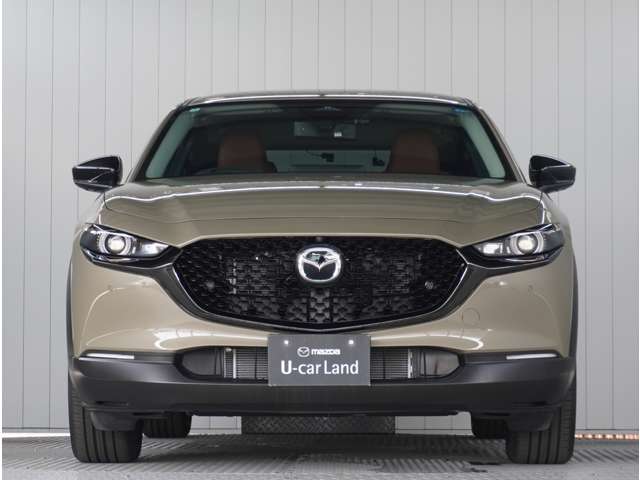 Mazda CX-30 9