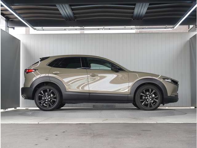 Mazda CX-30 10