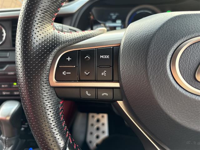 Lexus RX 11