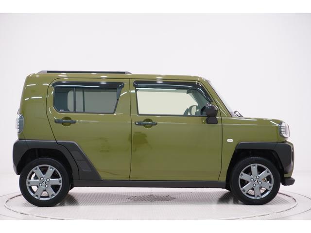 Daihatsu Taft 6