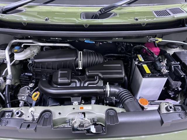 Daihatsu Taft 10