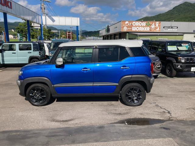 Suzuki XBEE 12