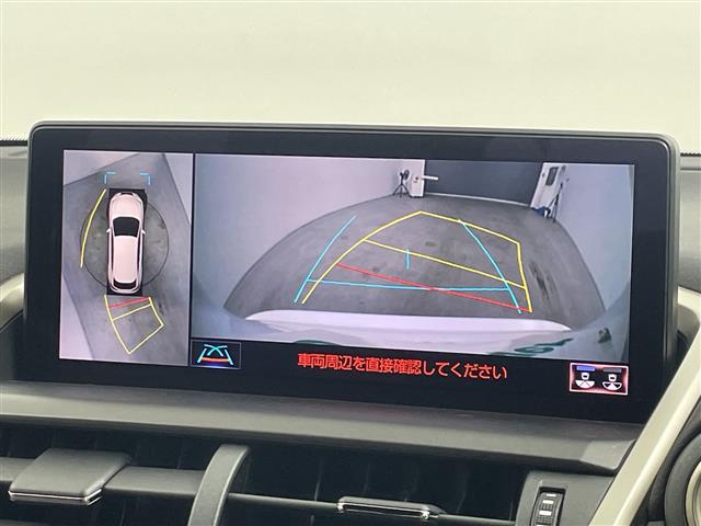 Lexus NX 6