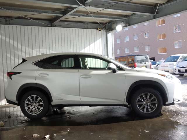 Lexus NX 4