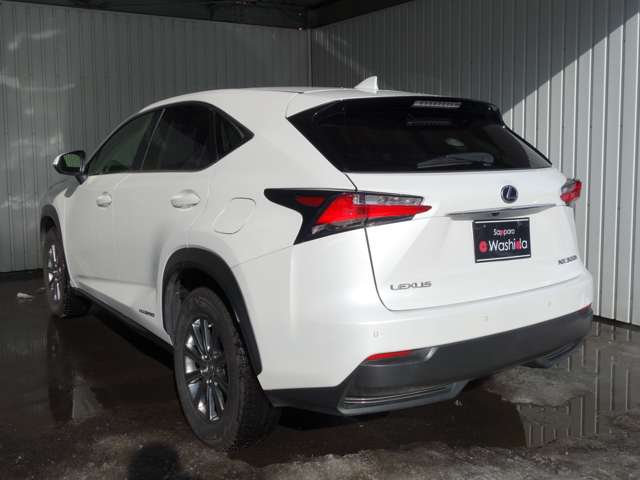 Lexus NX 6