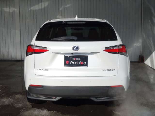 Lexus NX 7