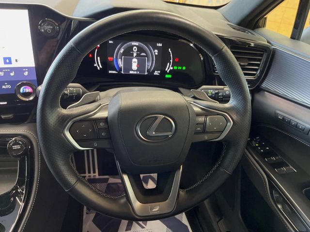 Lexus NX 12