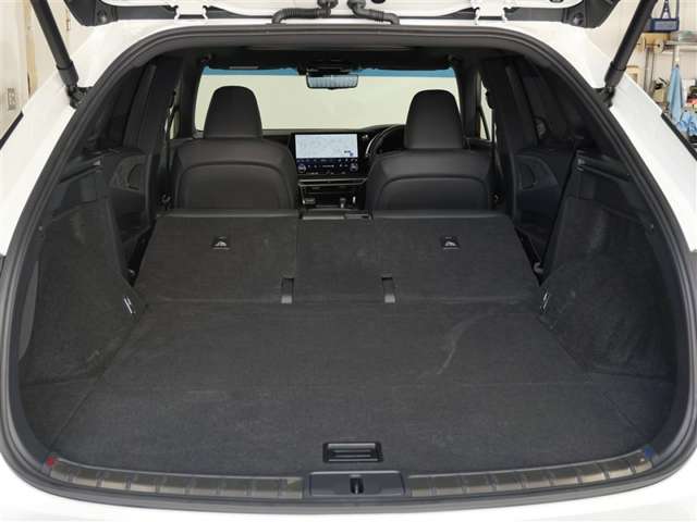 Lexus RX 11