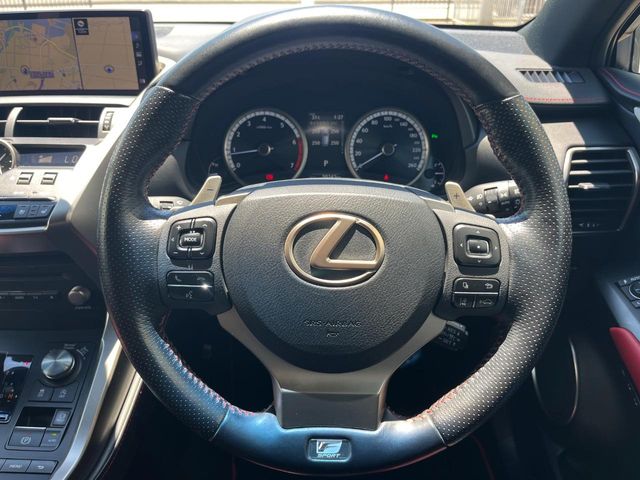 Lexus NX 12
