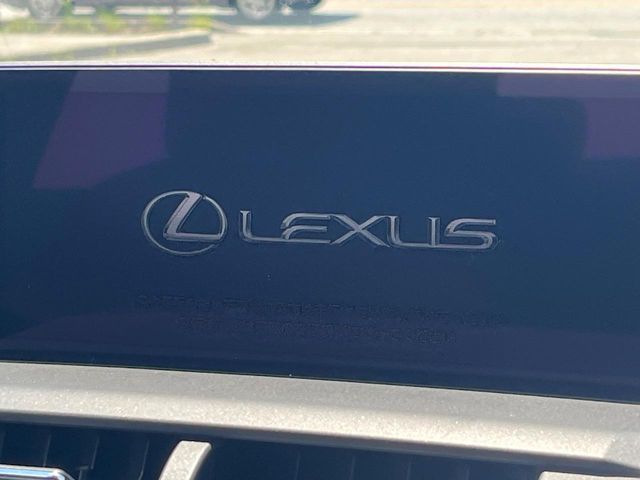 Lexus NX 4
