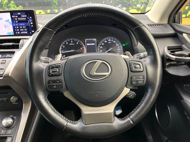 Lexus NX 12
