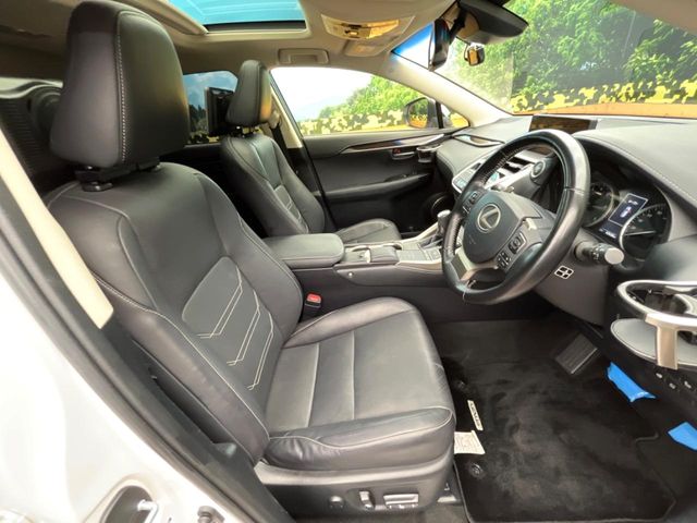 Lexus NX 9