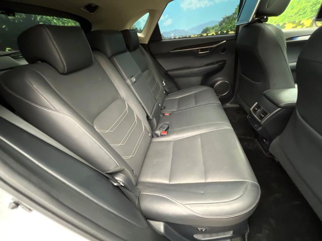Lexus NX 10