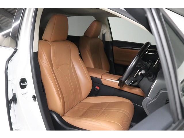 Lexus RX 10