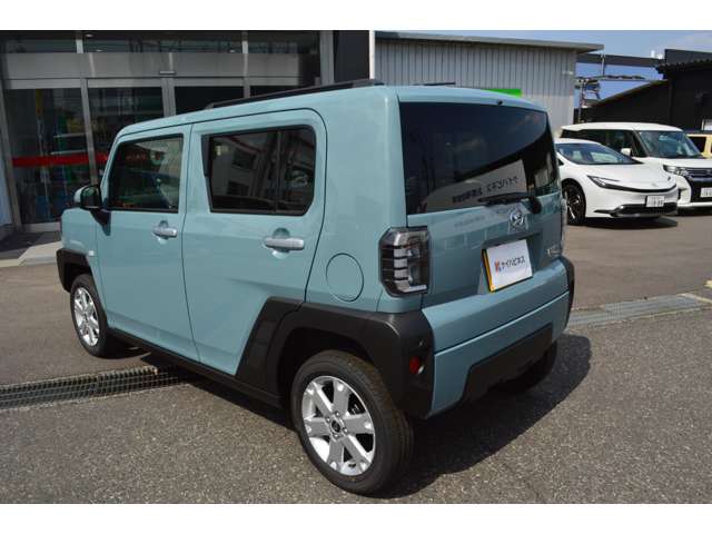 Daihatsu Taft 6