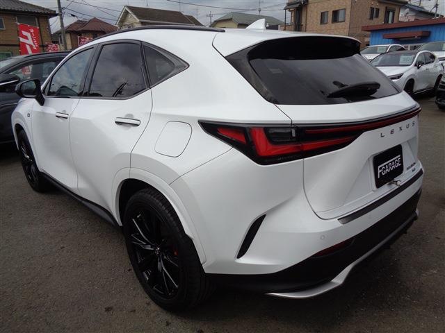 Lexus NX 6