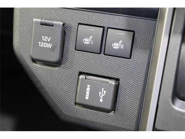 Daihatsu Taft 12