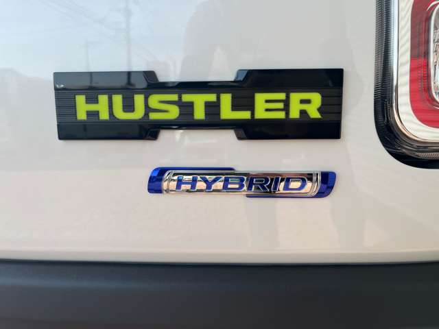 Suzuki Hustler 9