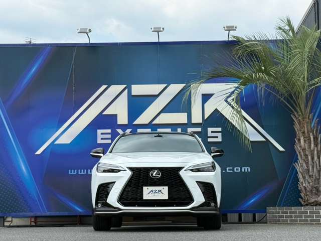 Lexus NX 6