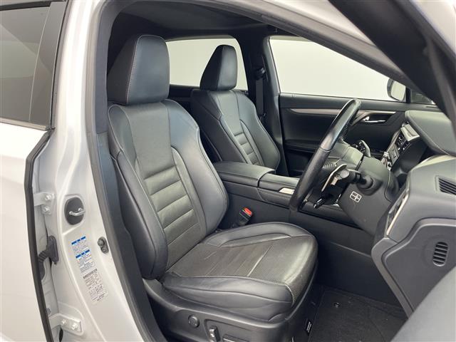 Lexus RX 11