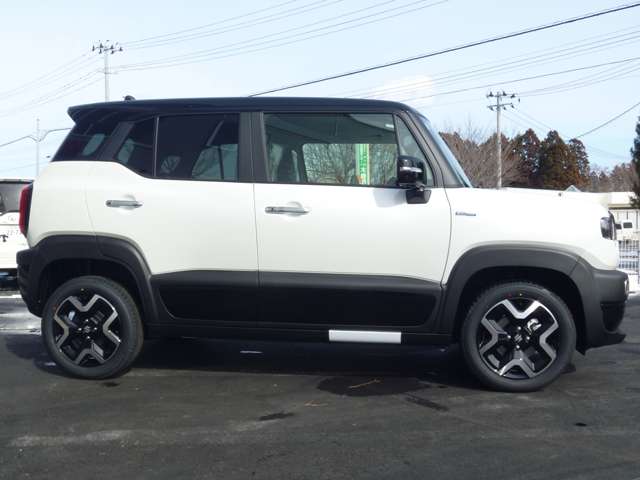 Suzuki XBEE 10