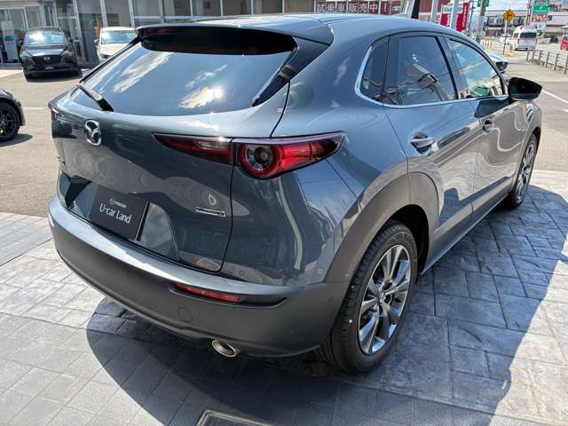 Mazda CX-30 11