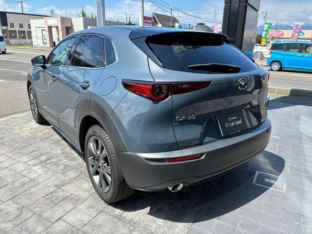 Mazda CX-30 9
