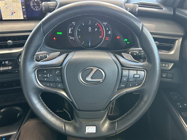 Lexus UX 12