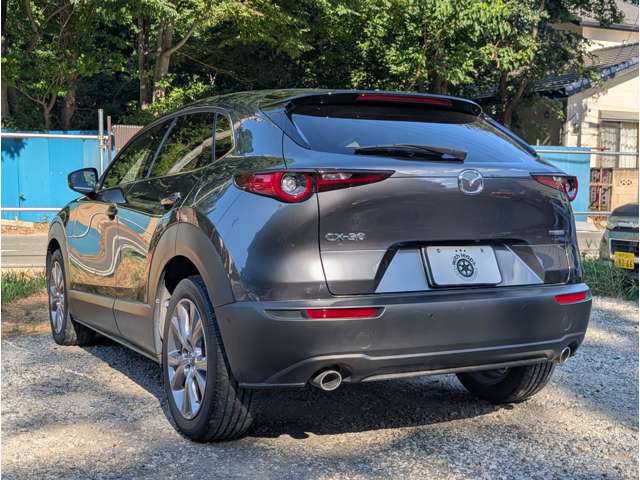 Mazda CX-30 11
