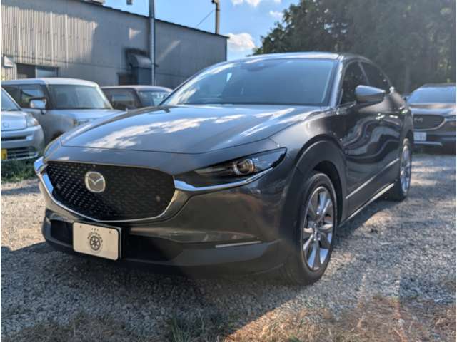Mazda CX-30 9
