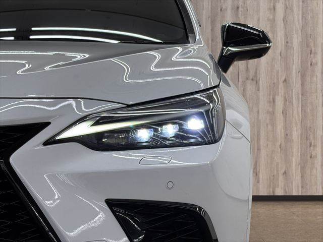 Lexus NX 11
