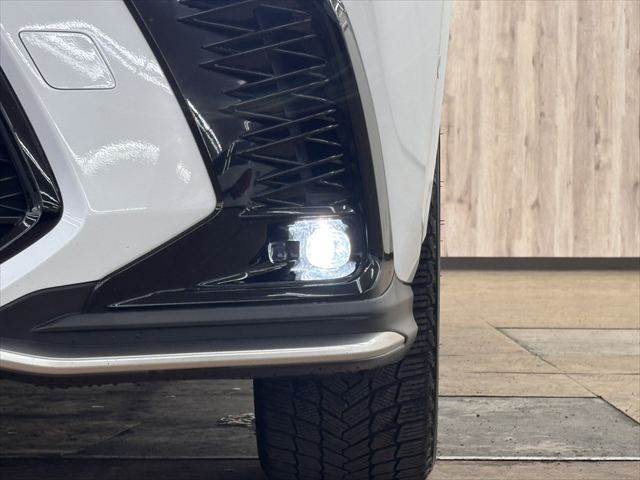 Lexus NX 12