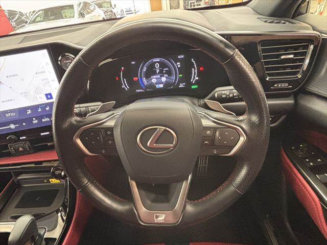 Lexus NX 10